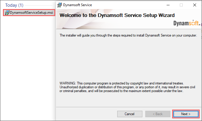 dynamsoft service setup download for mac